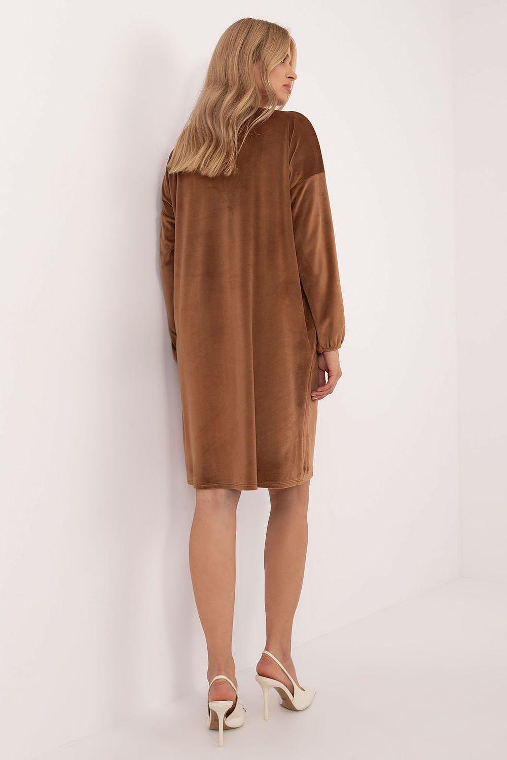 Brown long-sleeve daydress with straight back and side pleats