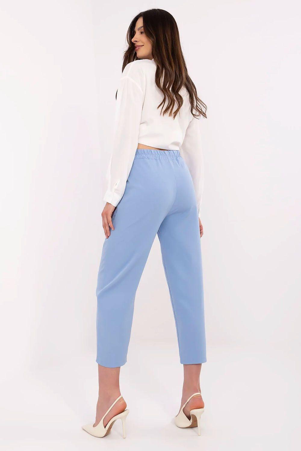 Women’s light-blue ankle trousers, straight-leg, rear view