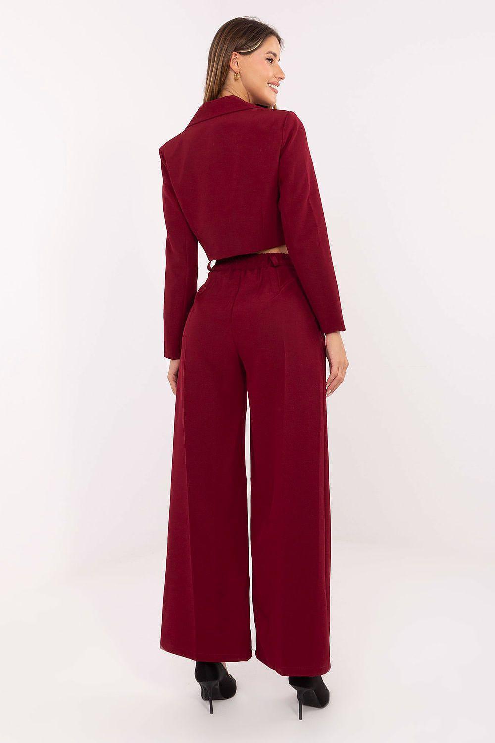 Burgundy two-piece blazer and wide-leg pants set, back view of cropped jacket and legs