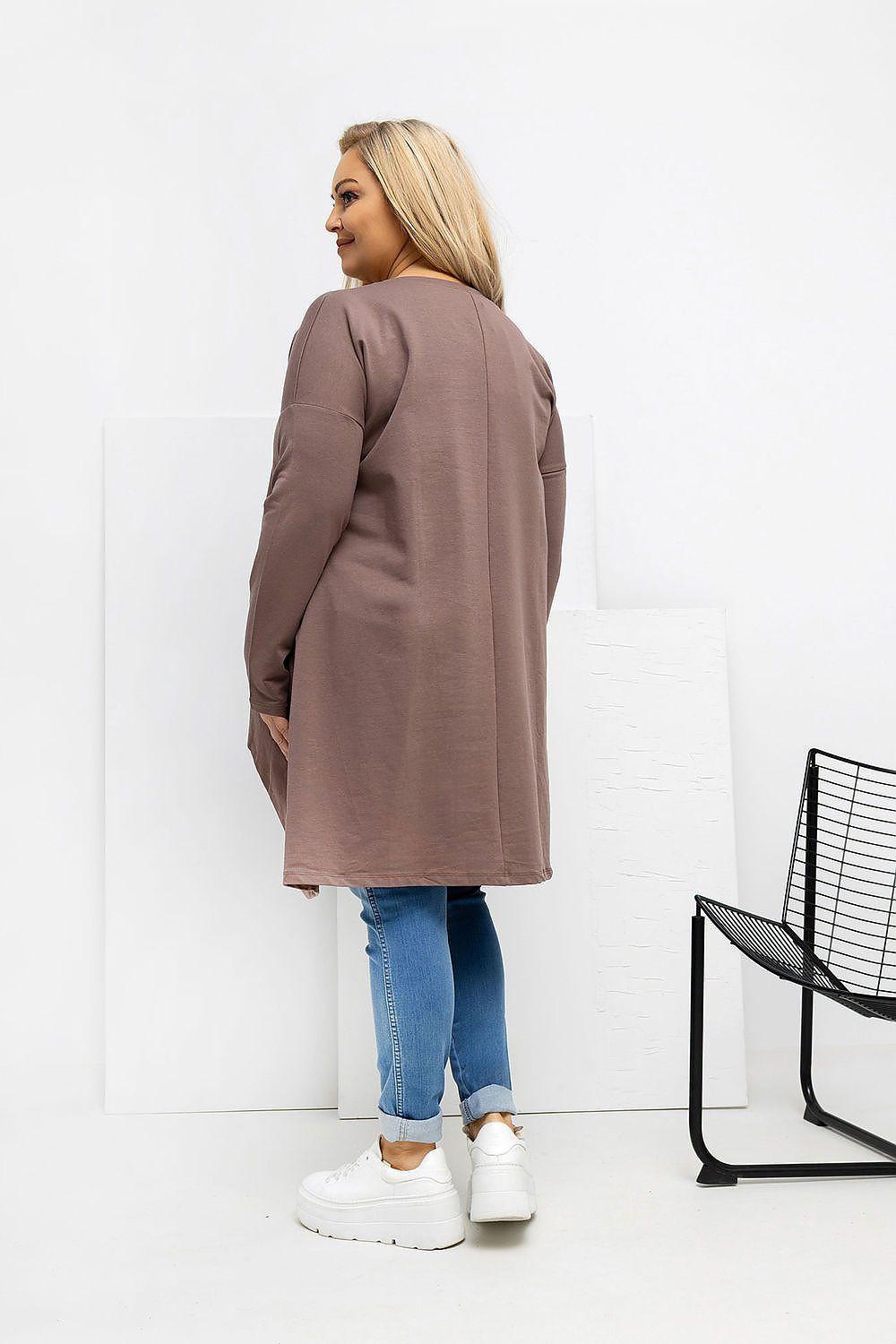 Plus size brown tunic blouse from back, long sleeves, asymmetrical hem
