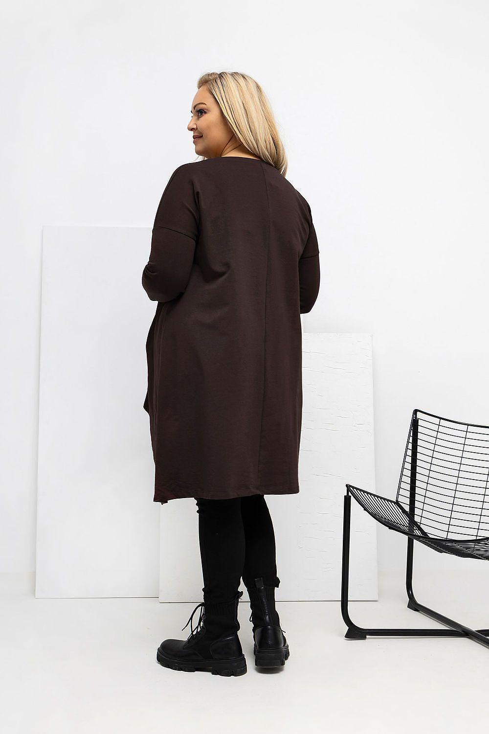 Plus-size tunic blouse back, dark brown, long sleeves, asymmetrical longer length