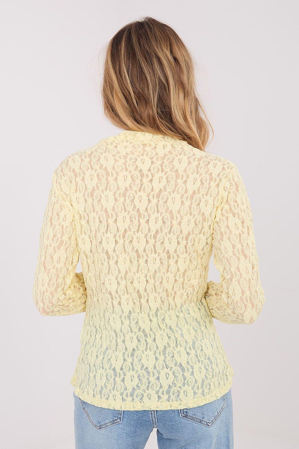Cream lace blouse back view with long sleeves and textured allover lace pattern.