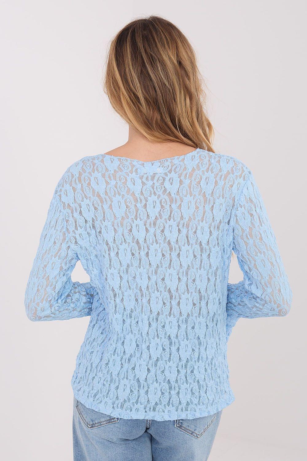 Light blue lace blouse with long sleeves and open lace back, back view.