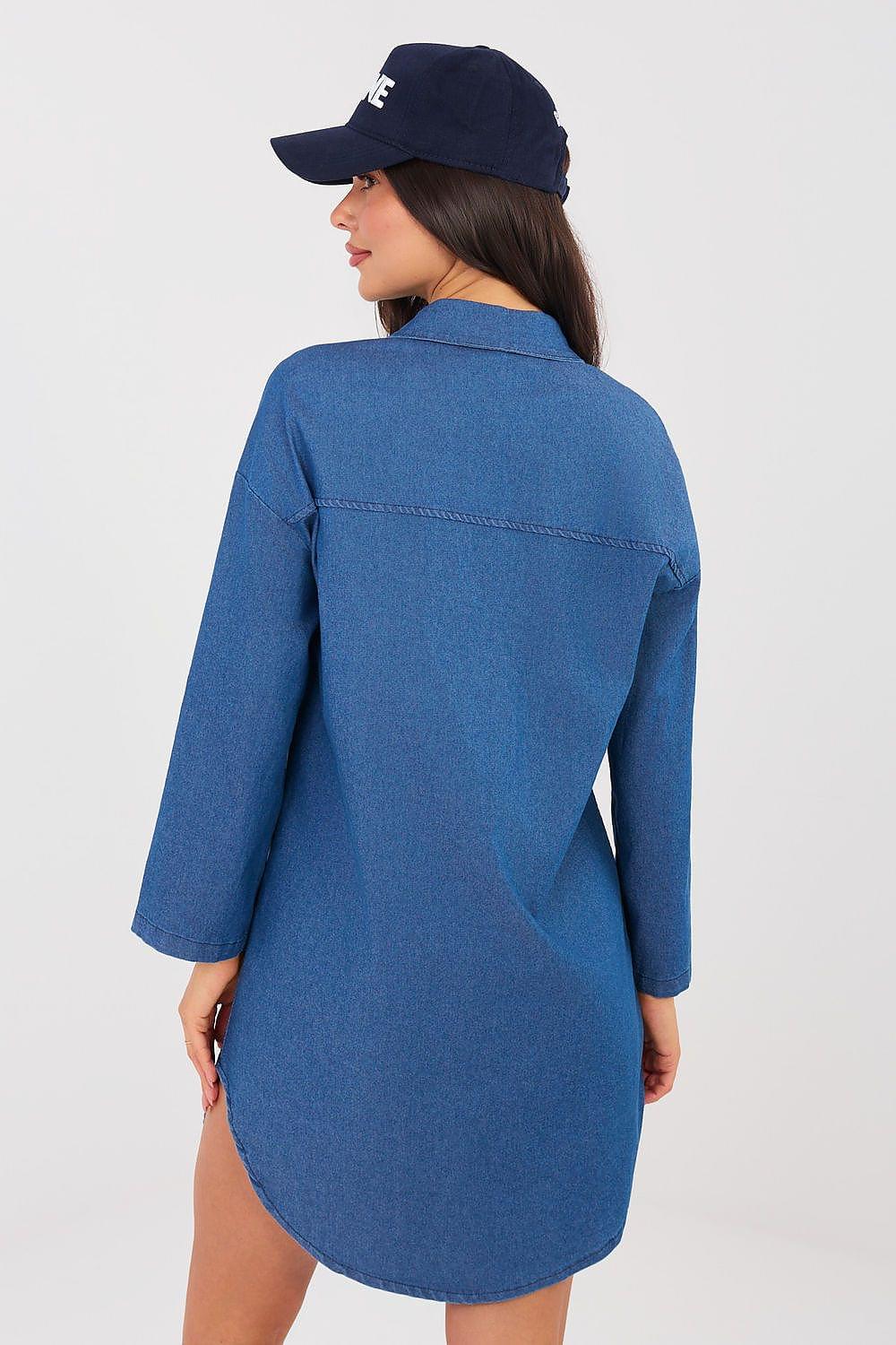 Women’s blue button-front daydress from back view with long sleeves and curved hem