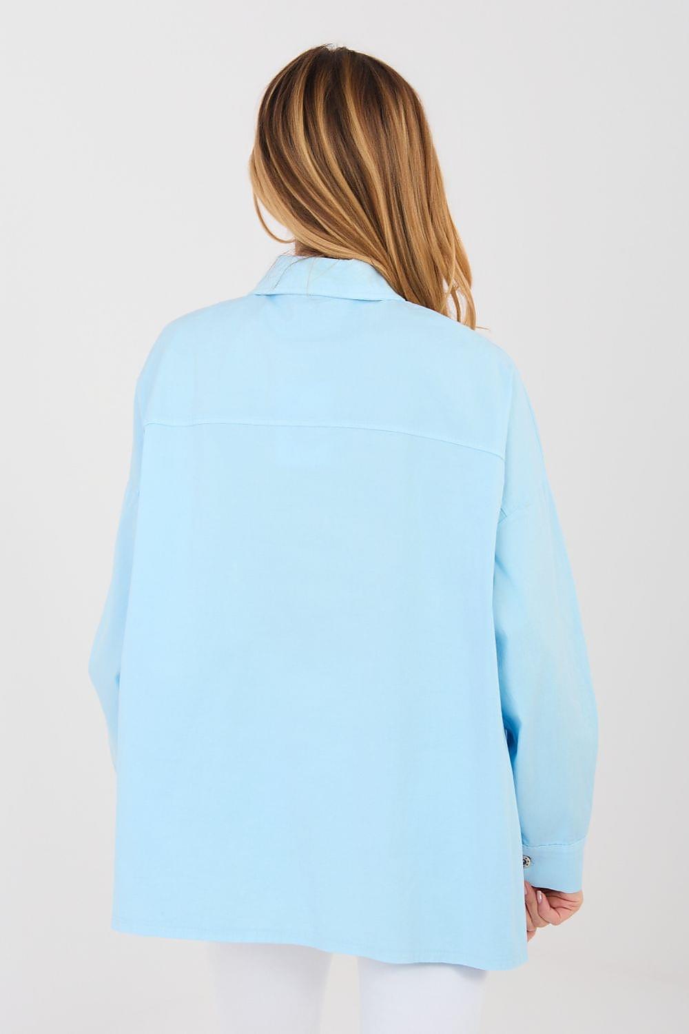 Light blue long-sleeve button-up shirt with back seam and pointed collar