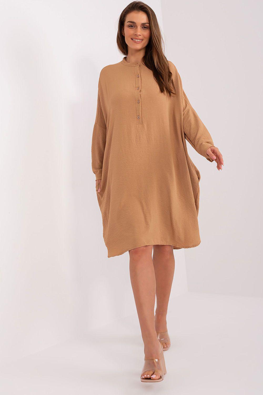 Brown long-sleeve daydress with button placket, loose fit, above-knee length