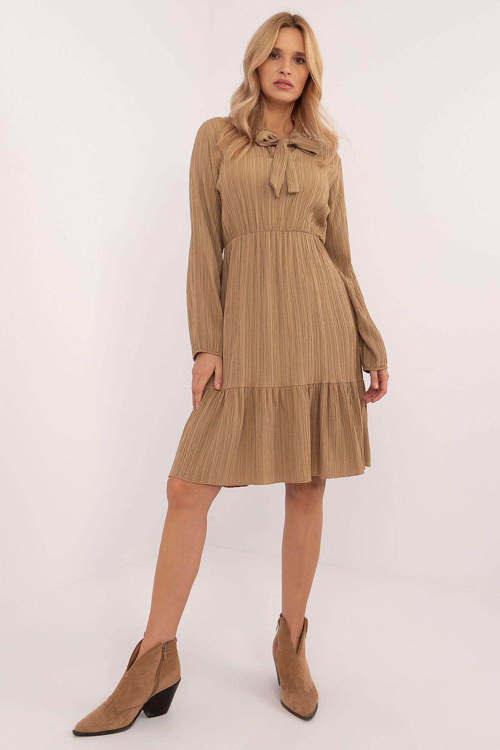 Brown long-sleeve daydress with button-up neckline and tiered skirt