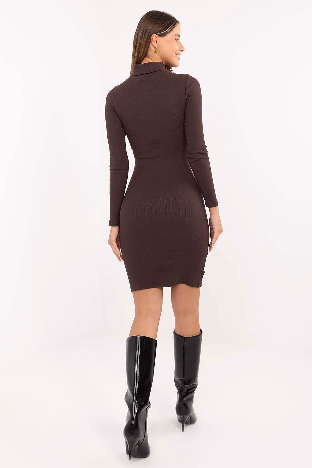 Dark brown fitted day dress with long sleeves, back view, above-knee length