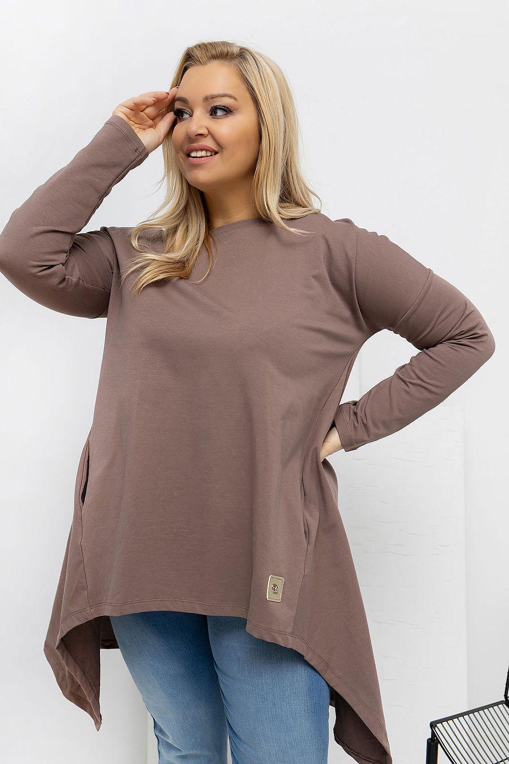Plus size brown tunic blouse with long sleeves and asymmetrical high-low hem