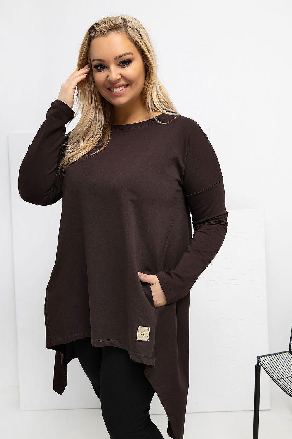 Plus-size tunic blouse, dark brown, long sleeves, asymmetrical hem, round neckline
