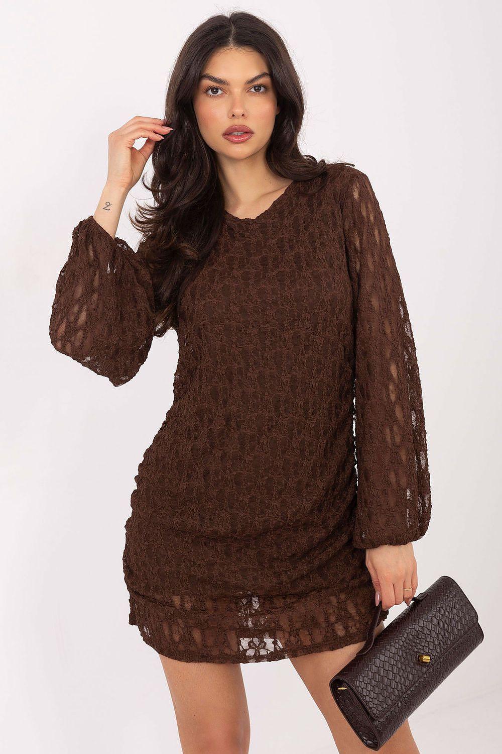 Brown short lace dress with long puff sleeves and crew neckline