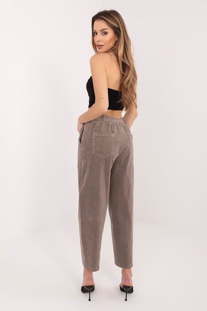 Taupe corduroy high-waist trousers with pleat front and button closure, cuffed hem