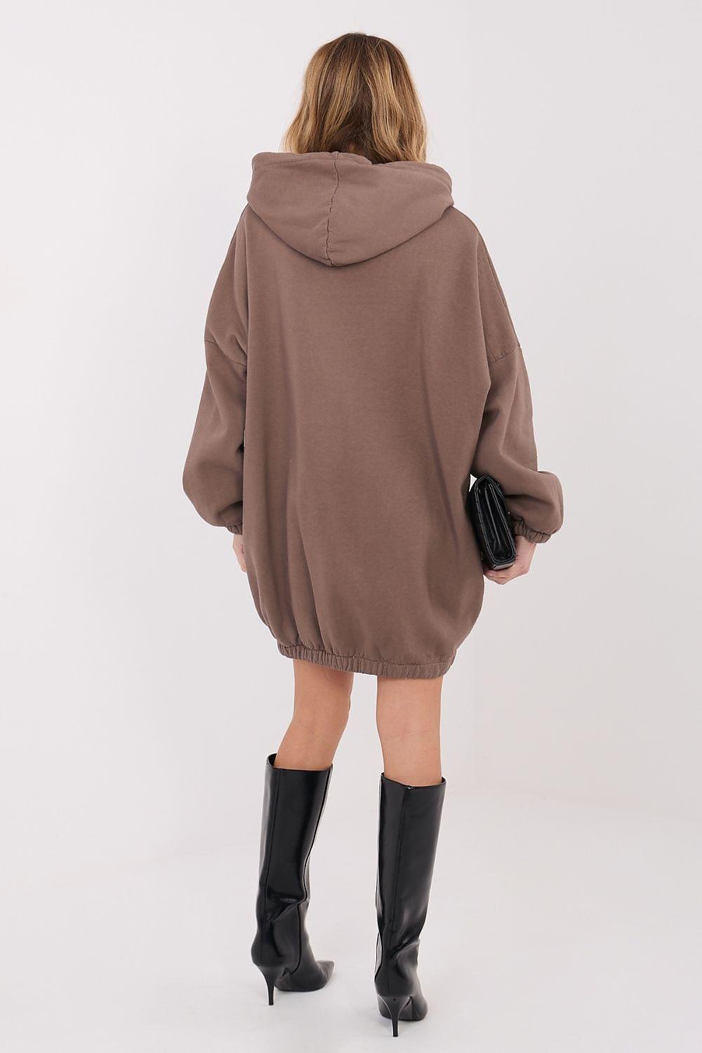 Brown hoodie daydress with hood, long sleeves, and gathered back hem