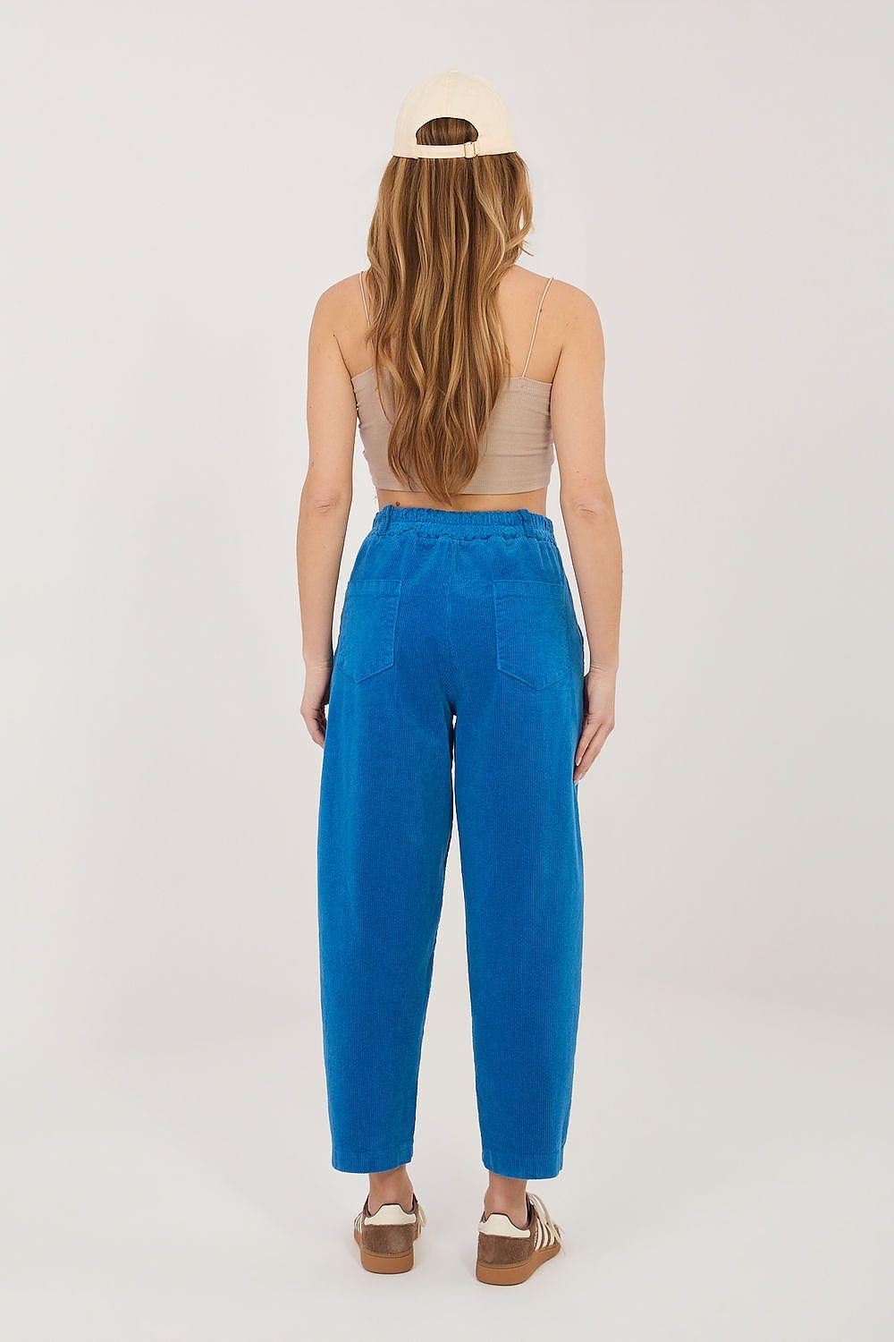 Blue corduroy trousers viewed from behind, featuring a high waist and straight legs