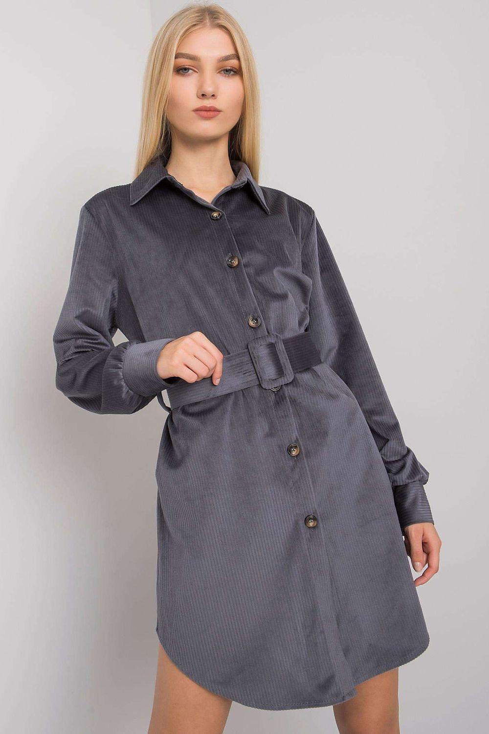Grey day dress with pointed collar, button front, long sleeves and waist belt